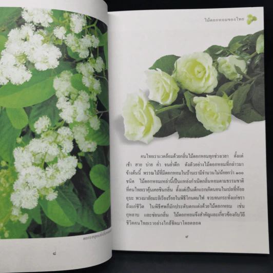 สารานุกรมไทยสำหรับเยาวชน  ฉบับเสริมการเรียนรู้ เล่ม 1 รูปที่ 11
