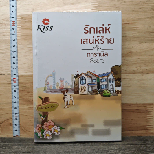 รักเล่ห์เสน่ห์ร้าย - ดารานิล รูปที่ 1