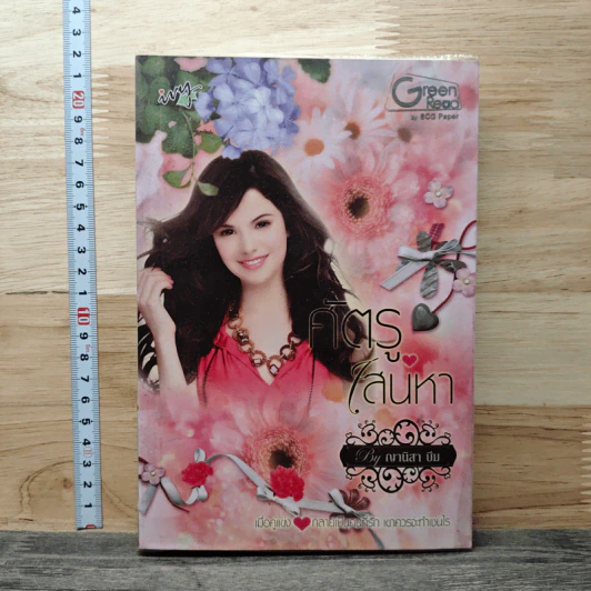 ศัตรูเสน่หา - ญานิสา บีม รูปที่ 1