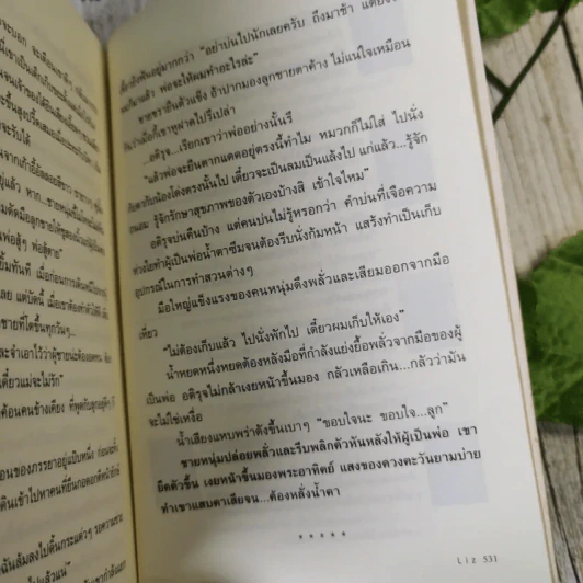บ่วงพราน - ลิซ รูปที่ 10