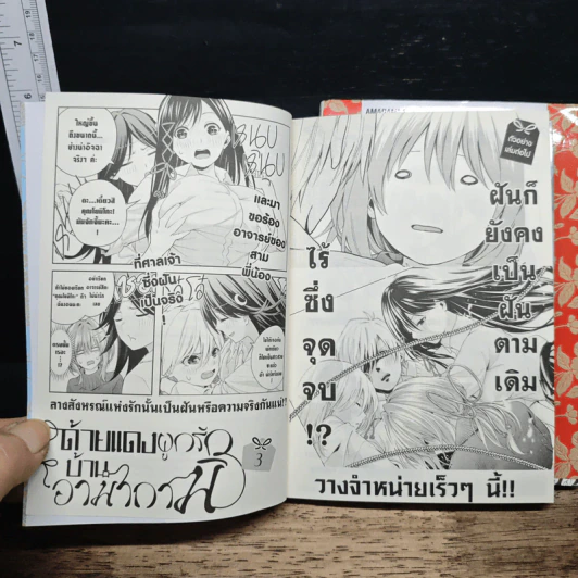ด้ายแดงผูกรักบ้านอามากามิ เล่ม 1-2 - Marcey Naito รูปที่ 9