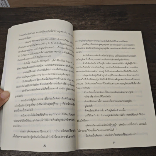 อัญมณีแห่งภัยพิบัติ อาถรรพ์ดินแดนรัตติกาล - มิเชลล์ เพเวอร์, ซิลล่า รูปที่ 7