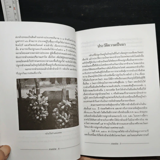 หนังสือ สวนกล้วย - สมศักดิ์ วรรณศิริ รูปที่ 8