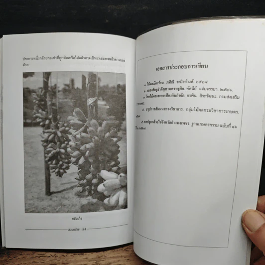 หนังสือ สวนกล้วย - สมศักดิ์ วรรณศิริ รูปที่ 9