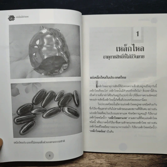 เหล็กไหลไม่มีวันตาย - อ.บูรพา ผดุงไทย รูปที่ 8
