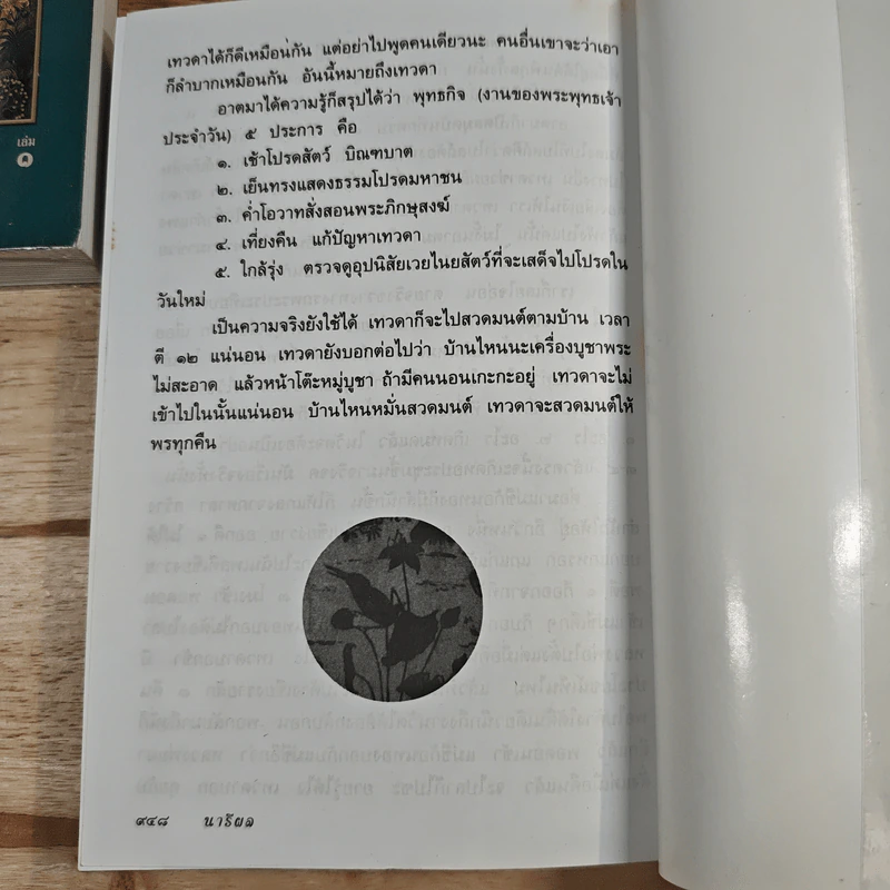 นารีผล 2 เล่มจบ - สุทัสสา อ่อนค้อม รูปที่ 11