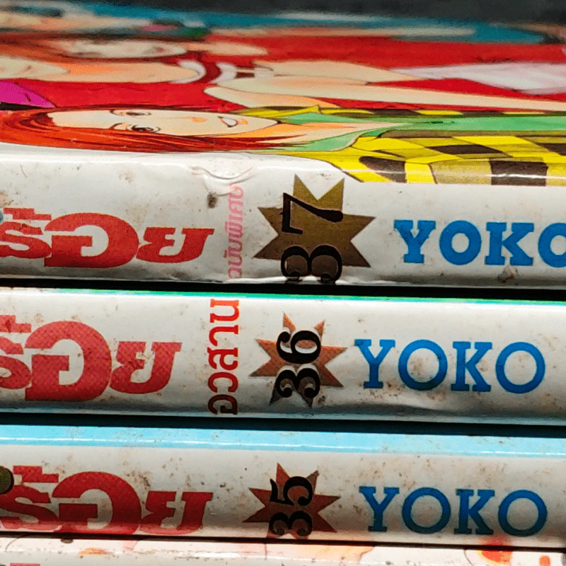 สาวแกร่งแรงเกินร้อย 36 เล่มจบ + เล่ม 37 เล่มพิเศษ รูปที่ 6