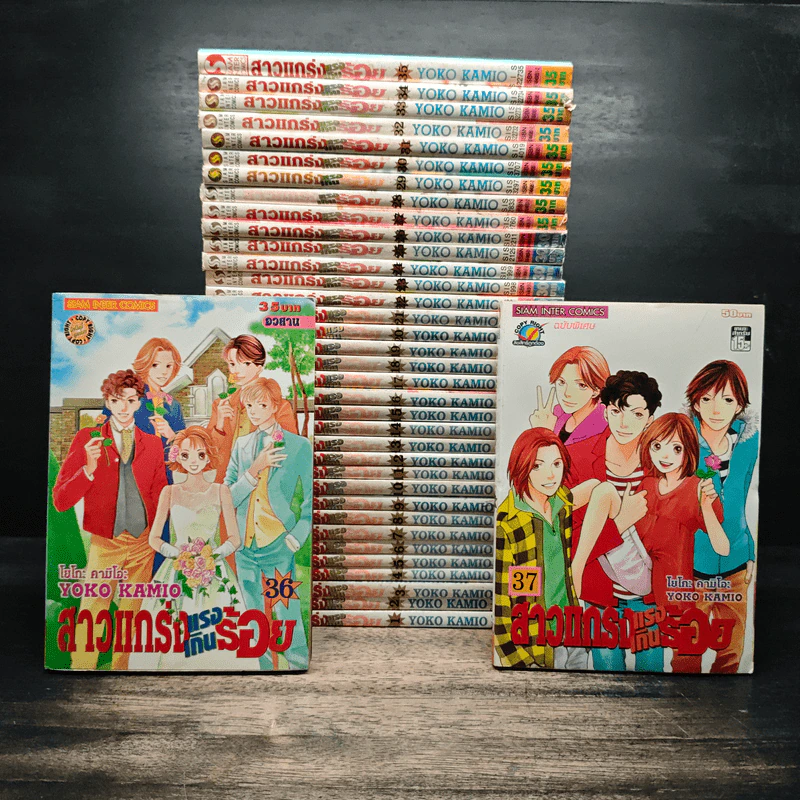 สาวแกร่งแรงเกินร้อย 36 เล่มจบ + เล่ม 37 เล่มพิเศษ รูปที่ 1