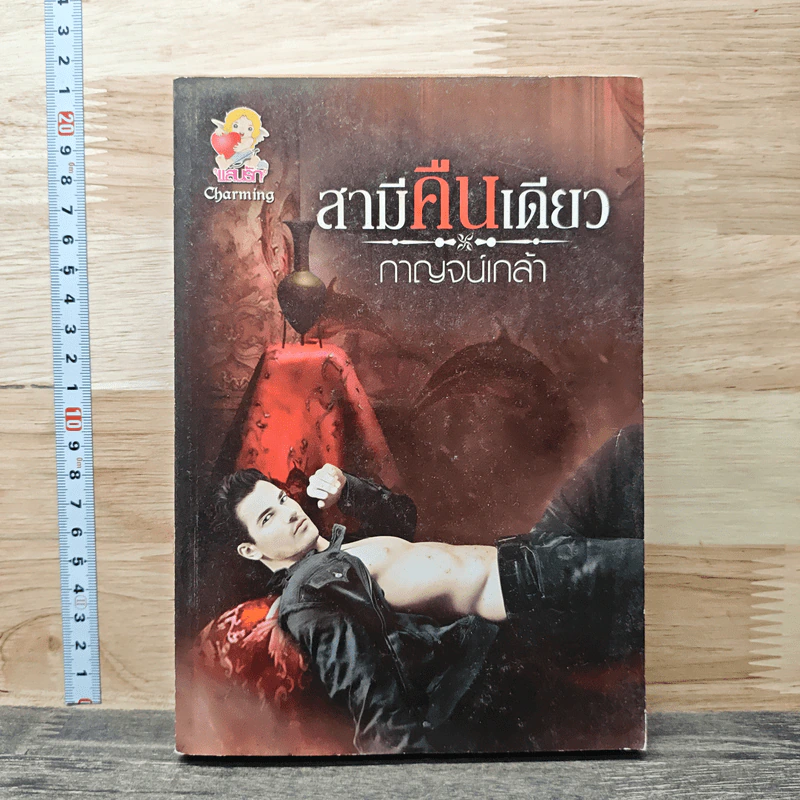 สามีคืนเดียว - กาญจน์เกล้า รูปที่ 1