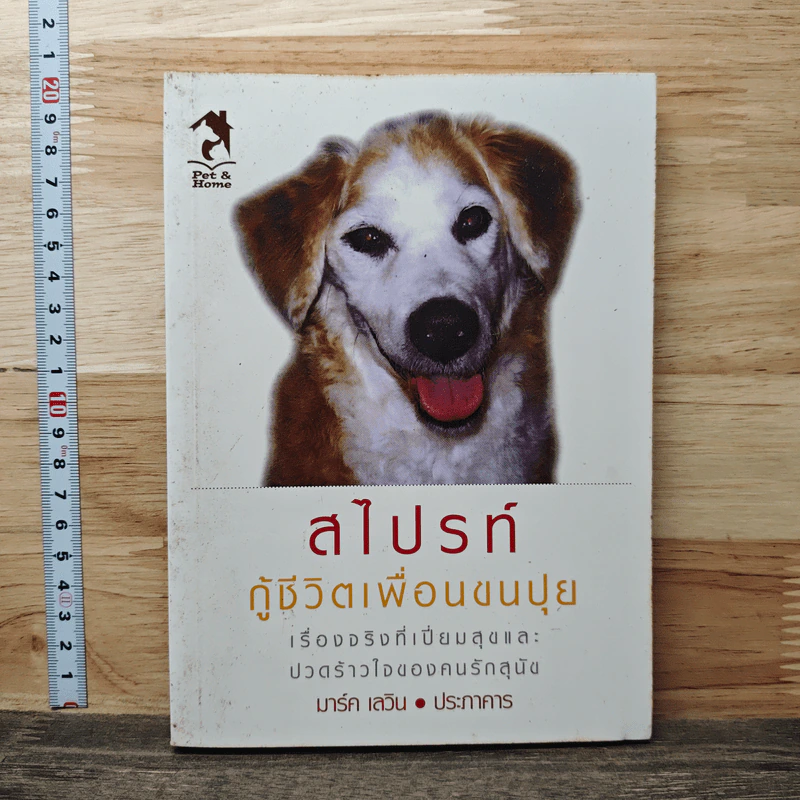 สไปรท์ กู้ชีวิตเพื่อนขนปุย - มาร์ค เลวิน, ประภาคาร รูปที่ 1