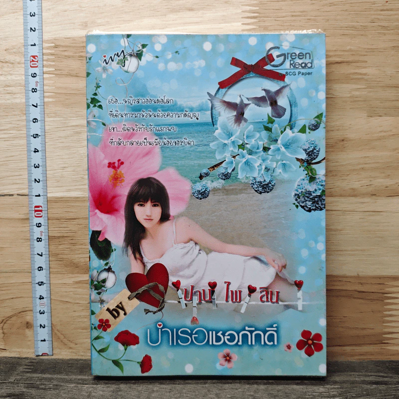 บำเรอเชอภักดิ์ - ปานไพลิน รูปที่ 1