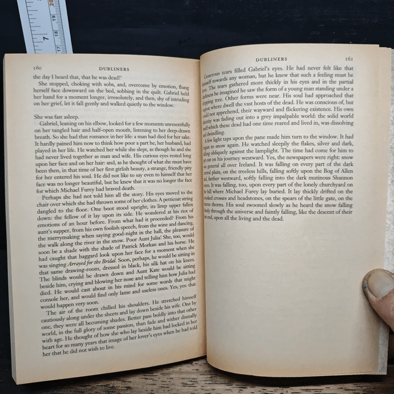 Dubliners - James Joyce รูปที่ 9