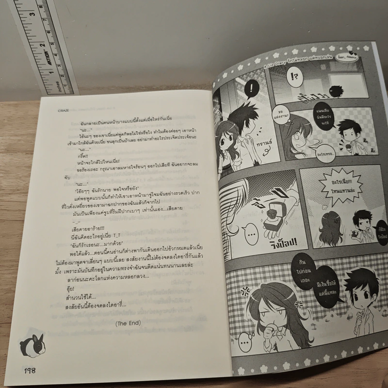 A Lie Diary รักไม่หลอกแค่หยอกเล่น - CRAZE รูปที่ 8
