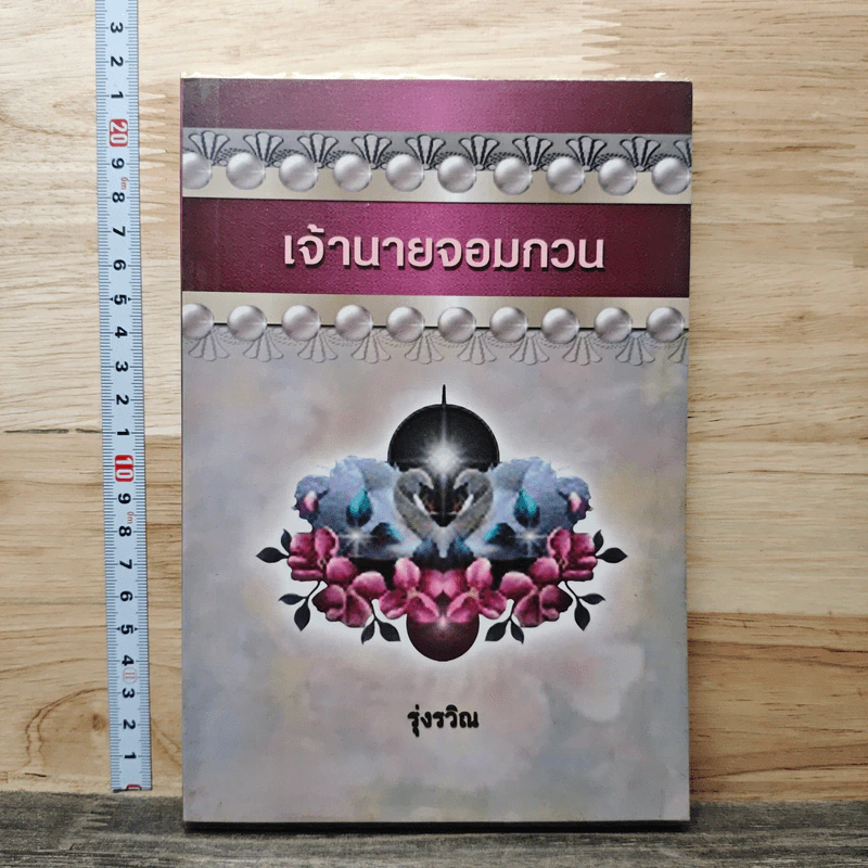 เจ้านายจอมกวน - รุ่งรวิณ รูปที่ 1