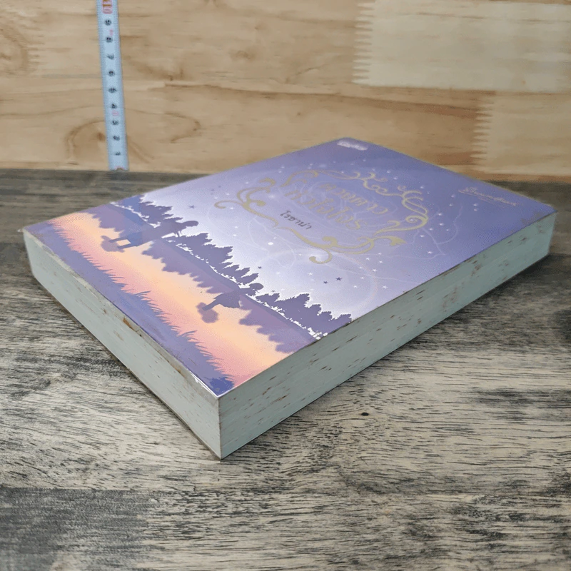 หนังสือ ดวงดาวหัวใจโจร รูปที่ 3