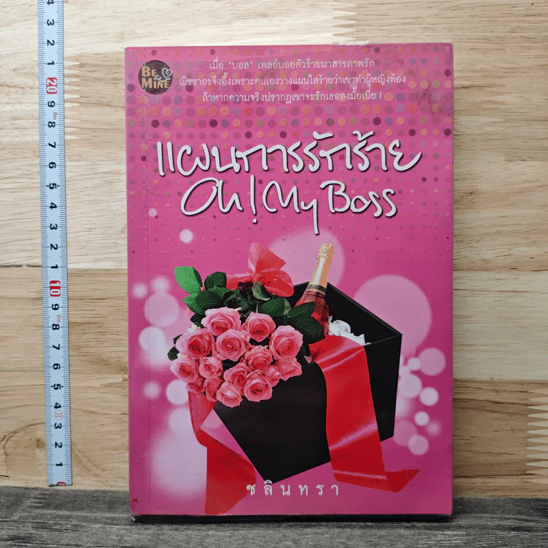 แผนการรักร้าย Oh! My Boss - ชลินทรา รูปที่ 1