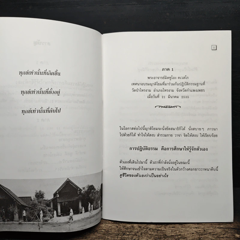 ทุกข์เพราะคิดผิด รูปที่ 8