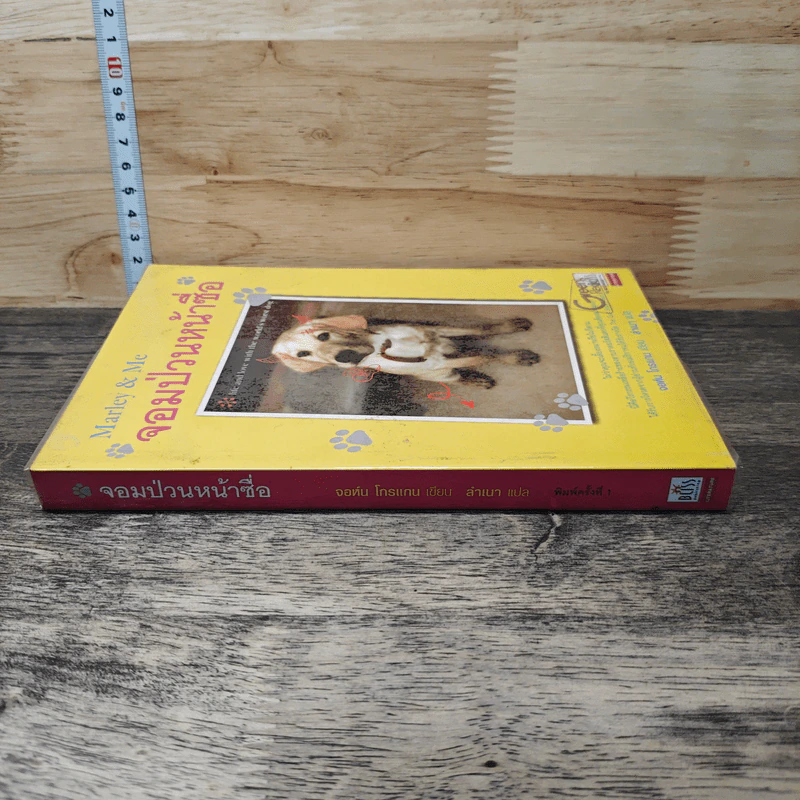 Marley & Me จอมป่วนหน้าซื่อ - จอห์น โกรแกน รูปที่ 2