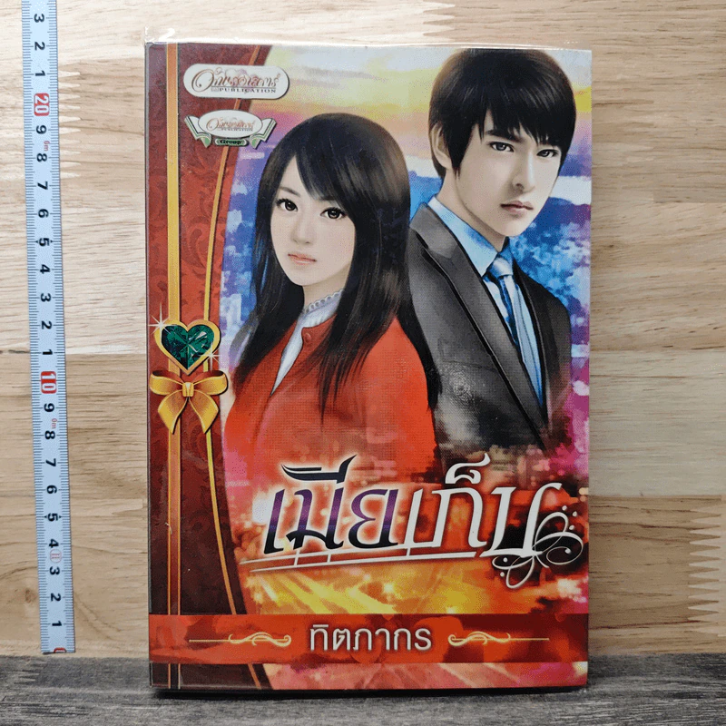 เมียเก็บ - ทิตภากร รูปที่ 1