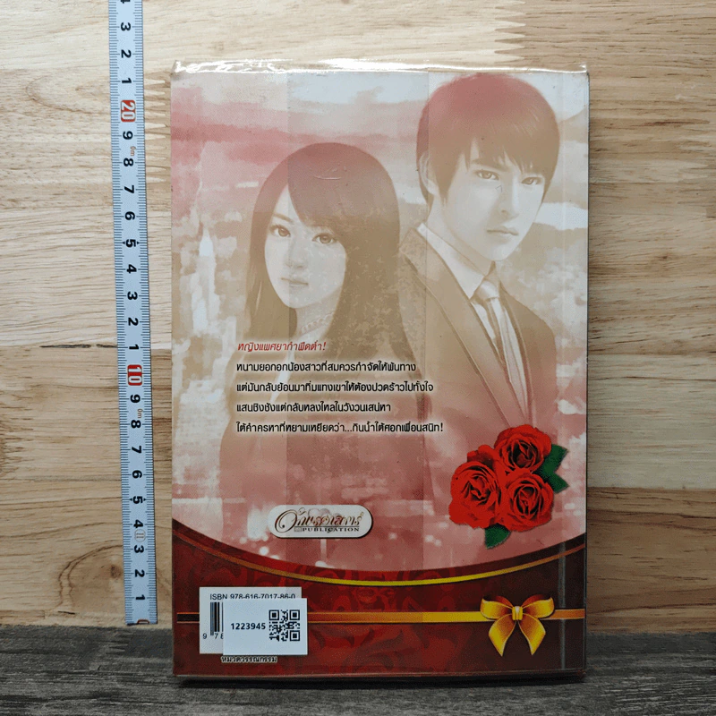 เมียเก็บ - ทิตภากร รูปที่ 5