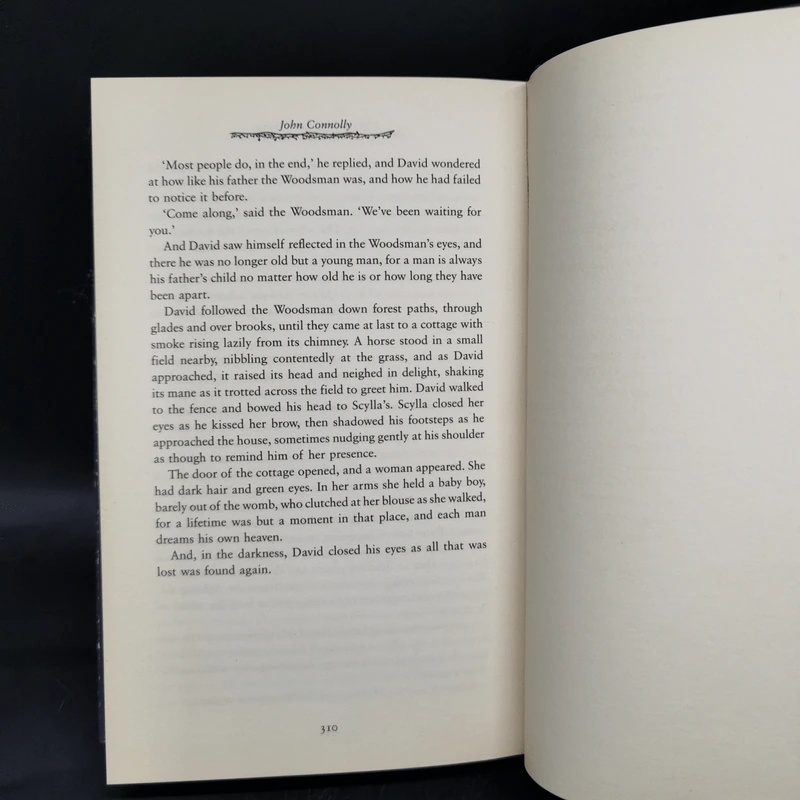 The Book of Lost Things - John Connolly รูปที่ 10