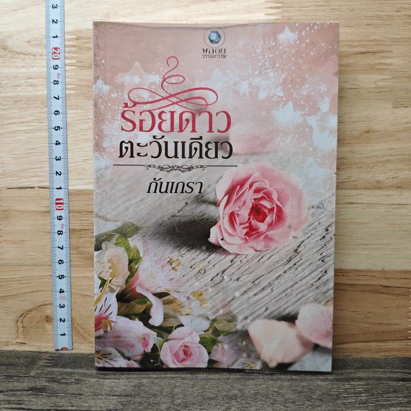 ร้อยดาวตะวันเดียว - กันเกรา รูปที่ 1