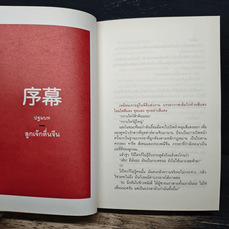 บันทึกการเดินทางของนายวิชัย มาตกุล คนไทยเชื้อสายจีนที่ไม่เคยไปประเทศจีน รูปที่ 6