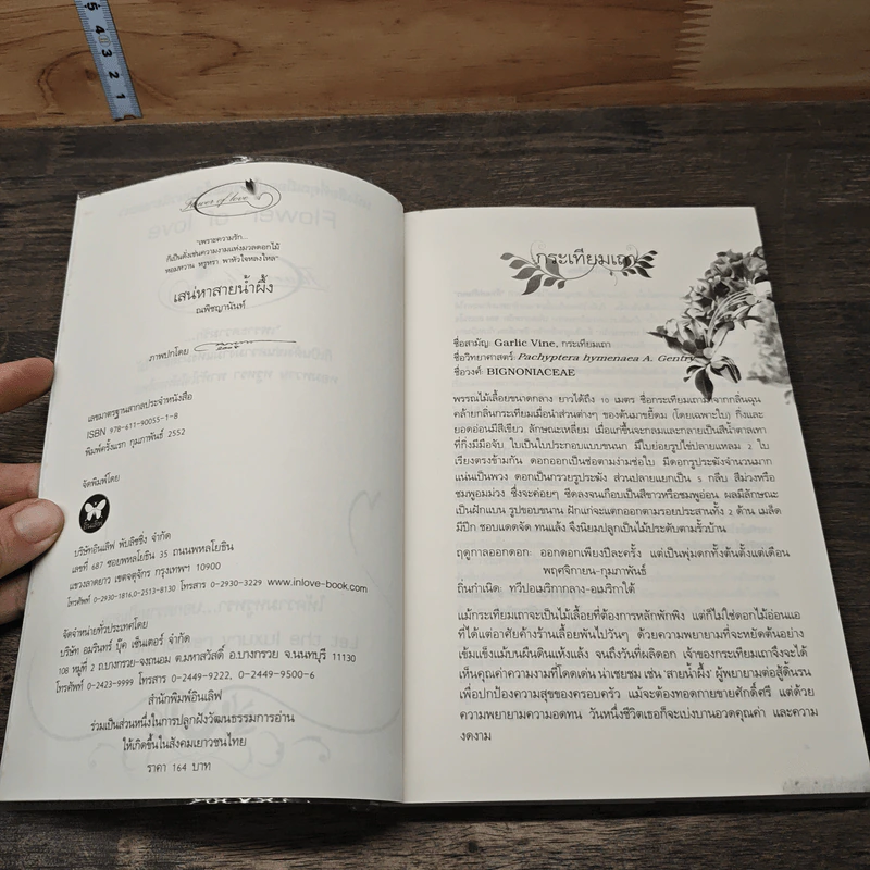 เสน่หาสายน้ำผึ้ง - ณพิชญานันศ์ รูปที่ 6