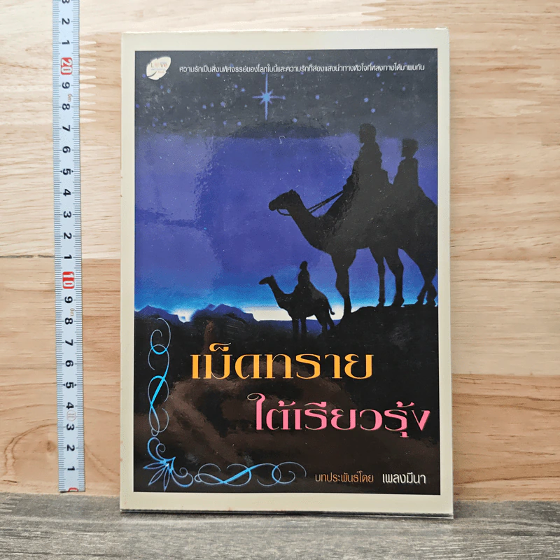 เม็ดทรายใต้เรียวรุ้ง - เพลงมีนา รูปที่ 1