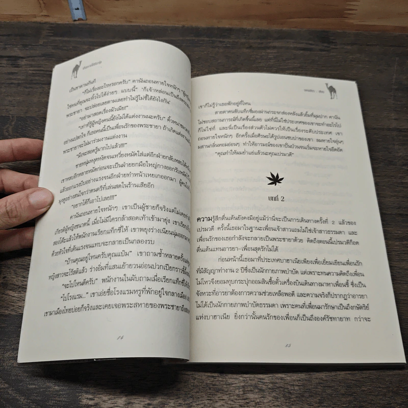 เม็ดทรายใต้เรียวรุ้ง - เพลงมีนา รูปที่ 7