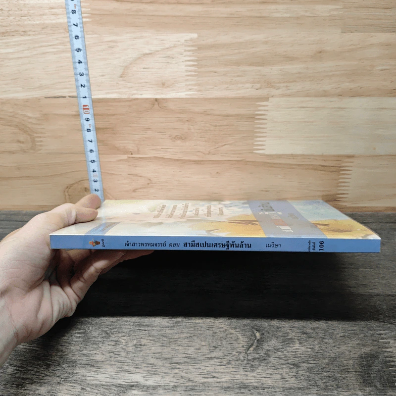 สามีสเปน เศรษฐีพันล้าน - เมวิษา รูปที่ 2