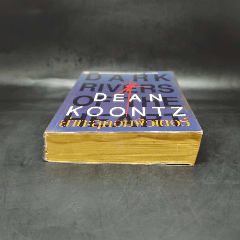 ล่าทะลุคอมพิวเตอร์ - Dean Koontz รูปที่ 4