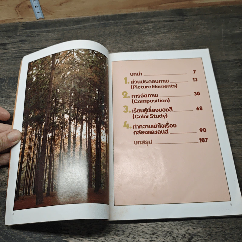 องค์ประกอบศิลป์ เรียนถ่ายภาพ (ด้วยตนเอง) รูปที่ 6