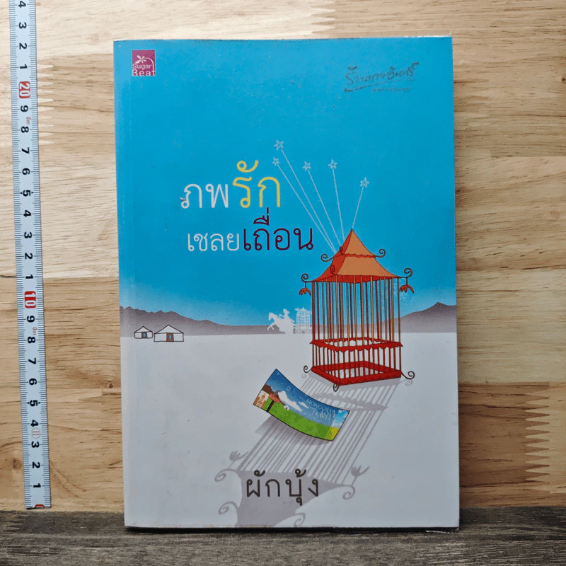 ภพรักเชลยเถื่อน - ผักบุ้ง รูปที่ 1