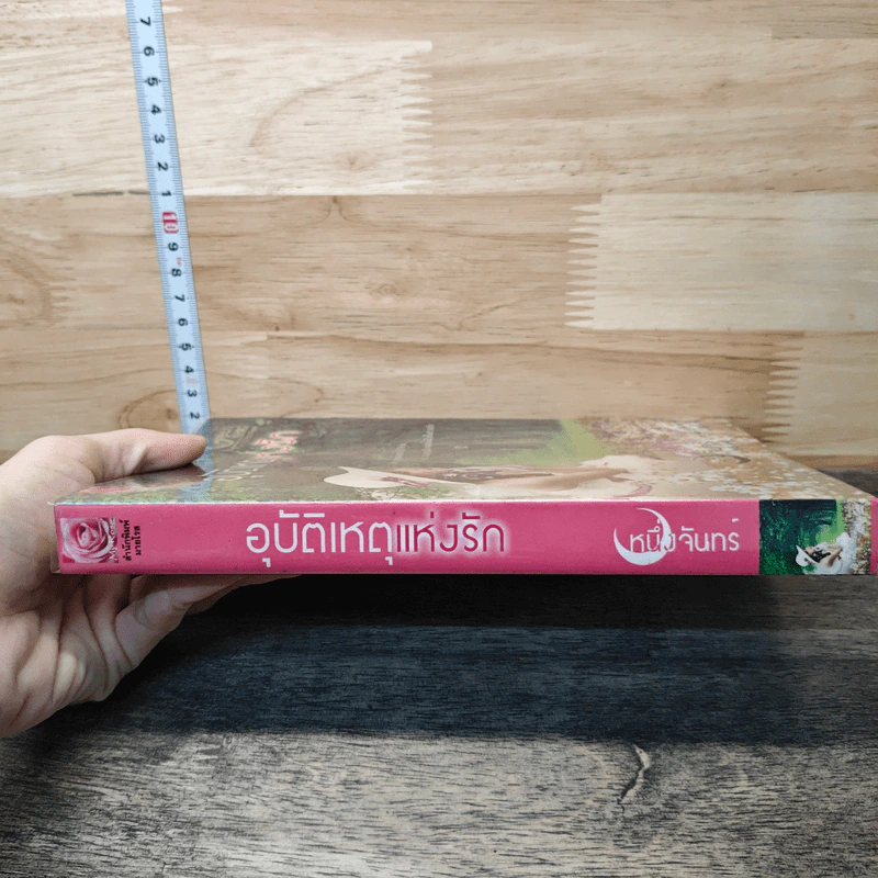 อุบัติเหตุแห่งรัก - หนึ่งจันทร์ รูปที่ 2
