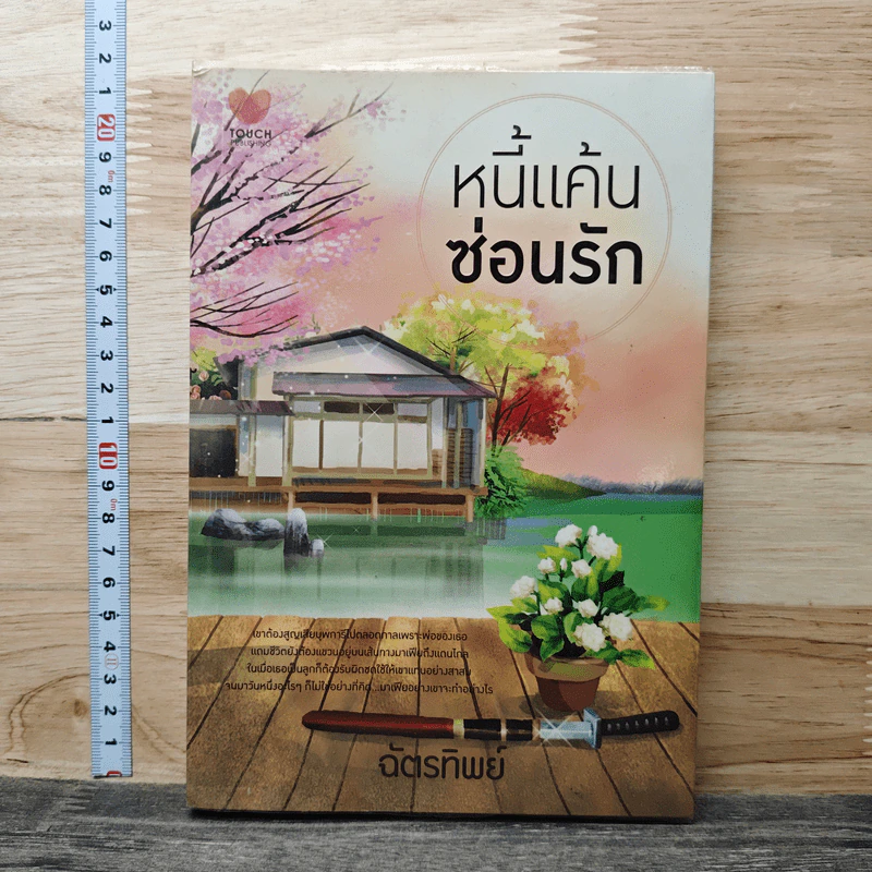 หนี้แค้นซ่อนรัก - ฉัตรทิพย์ รูปที่ 1