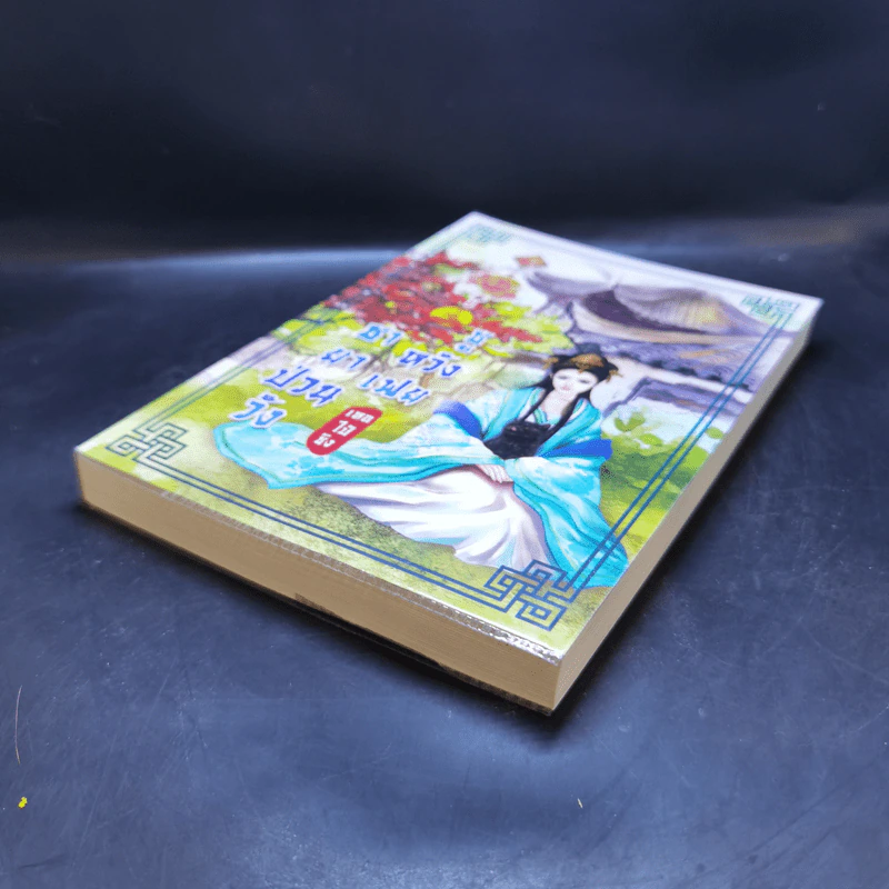 ชายาป่วนวัง ซูหวังเฟย - เหอไป๋ซิง รูปที่ 7
