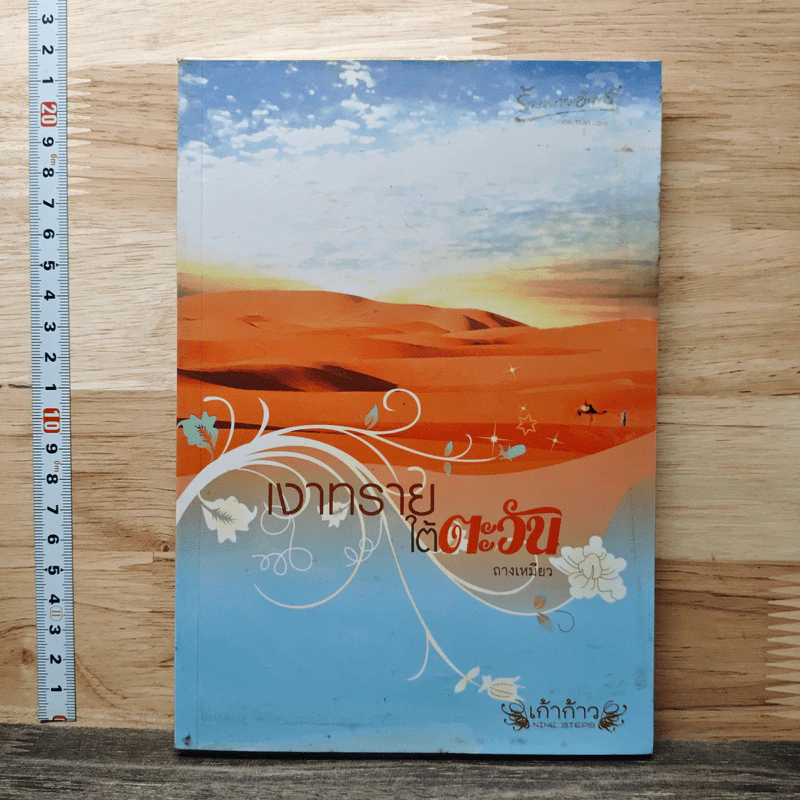เงาทรายใต้ตะวัน - ถางเหมียว รูปที่ 1