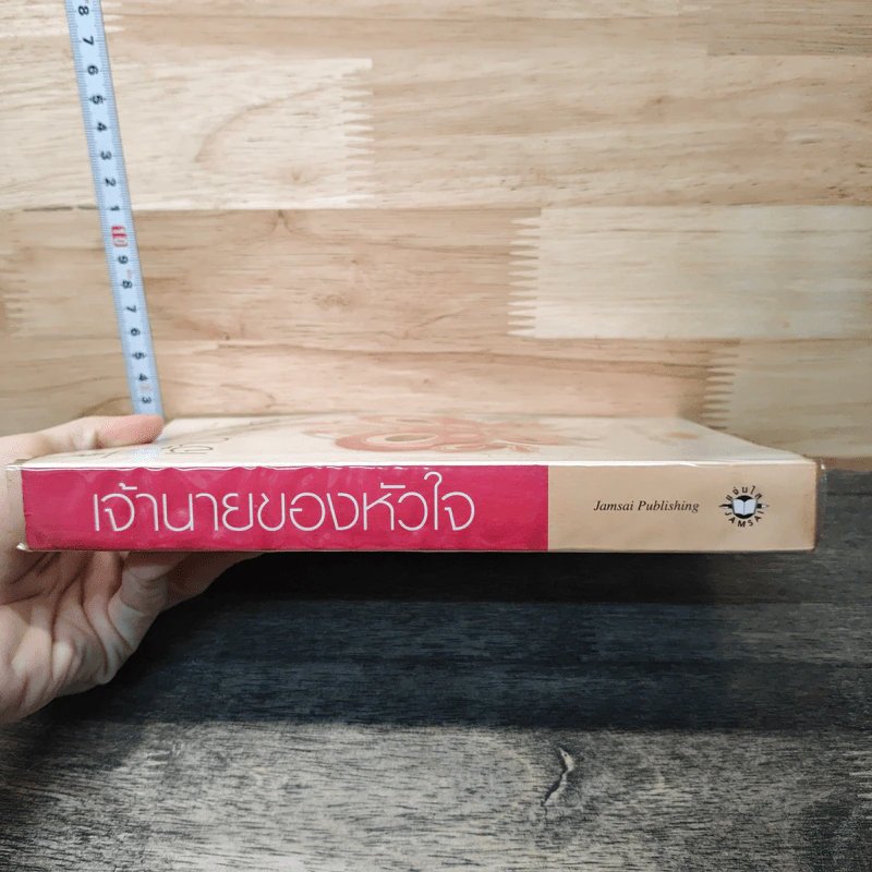 เจ้านายของหัวใจ - ญาณิน รูปที่ 2