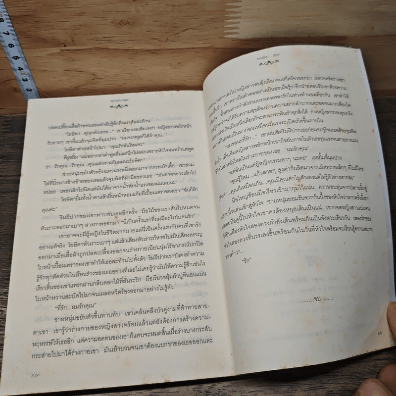 ทรายพราวแสง - เพลงมีนา รูปที่ 8