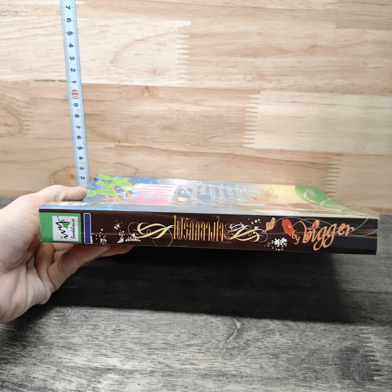 หนังสือ ไฟรักกลางใจ รูปที่ 2