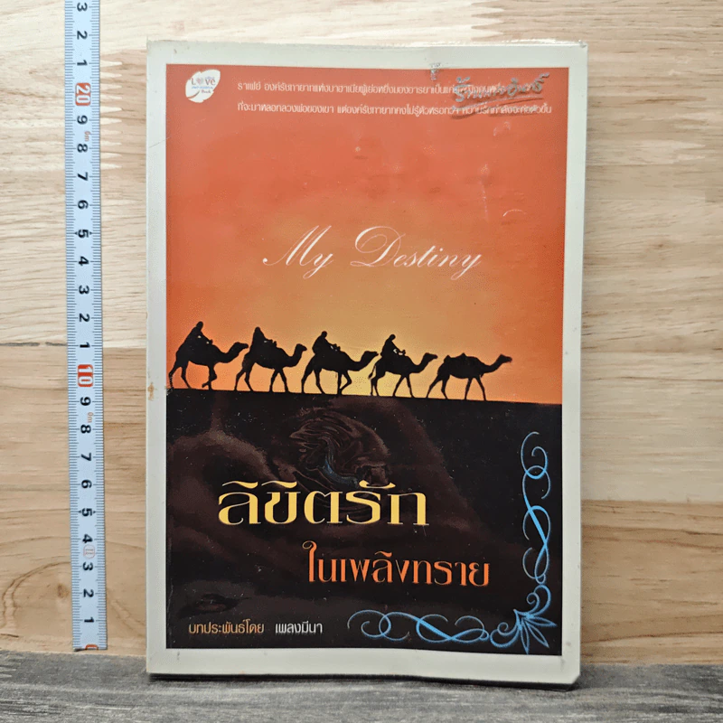 ลิขิตรักในเพลิงทราย - เพลงมีนา รูปที่ 1