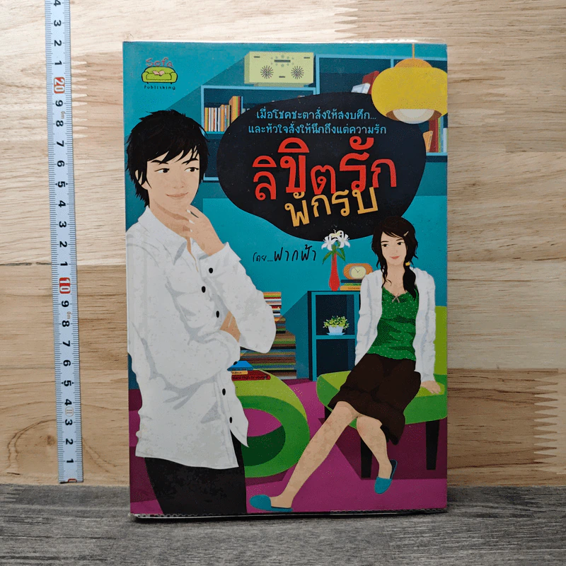 ลิขิตรักพักรบ - ฟากฟ้า รูปที่ 1