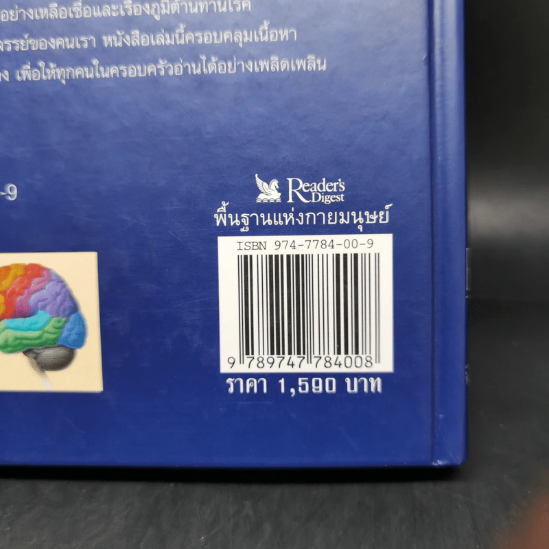 พื้นฐานแห่งกายมนุษย์ - รีดเดอร์ส ไดเจสท์ รูปที่ 18