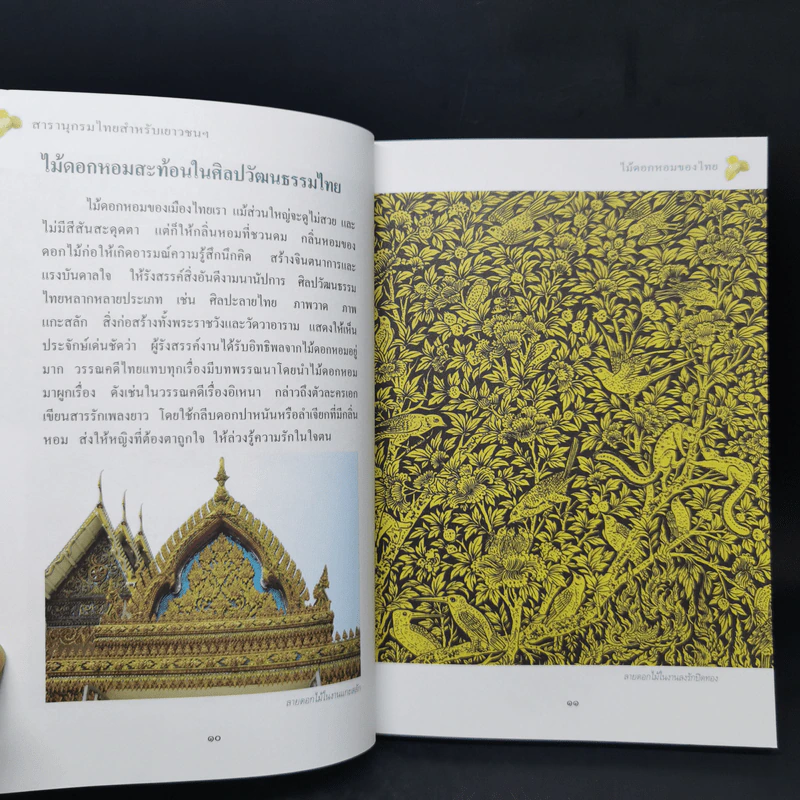 สารานุกรมไทยสำหรับเยาวชน  ฉบับเสริมการเรียนรู้ เล่ม 1 รูปที่ 12
