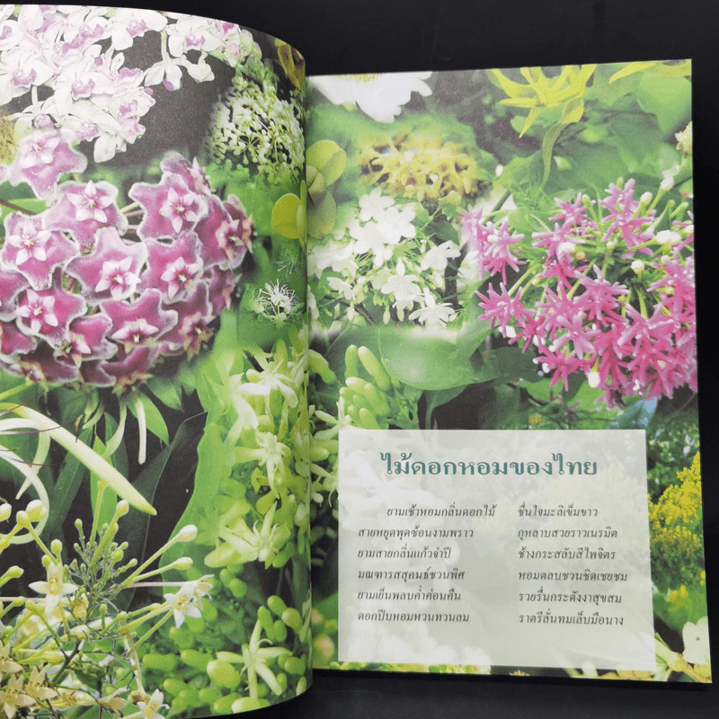 สารานุกรมไทยสำหรับเยาวชน  ฉบับเสริมการเรียนรู้ เล่ม 1 รูปที่ 10