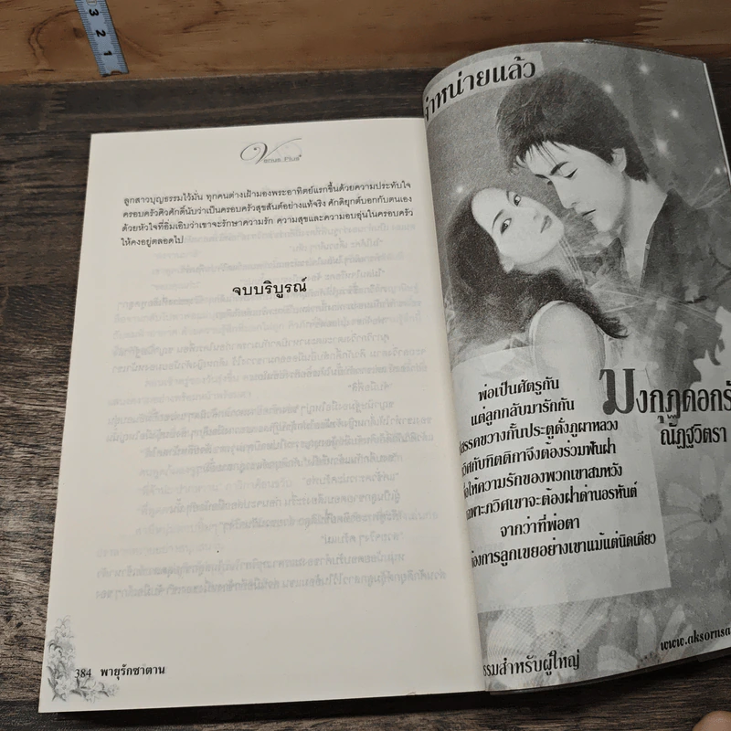 พายุรักซาตาน - ณัฏฐวิตรา รูปที่ 8