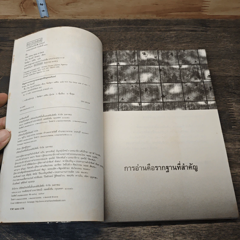 ฟื้น The Other Side of Dark - โจน โลเวอรี่ นิกซอน รูปที่ 6