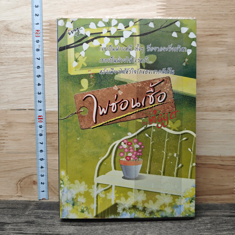 ไฟซ่อนเชื้อ - Bigger รูปที่ 1