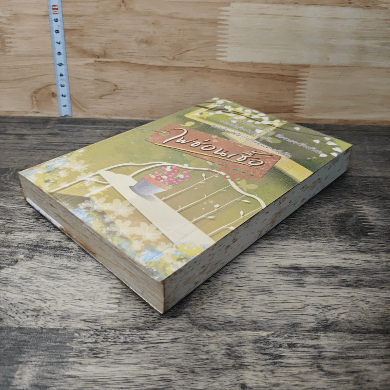 ไฟซ่อนเชื้อ - Bigger รูปที่ 3